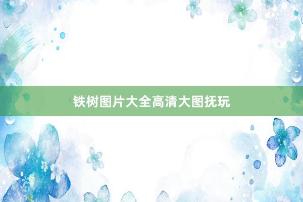 铁树图片大全高清大图抚玩